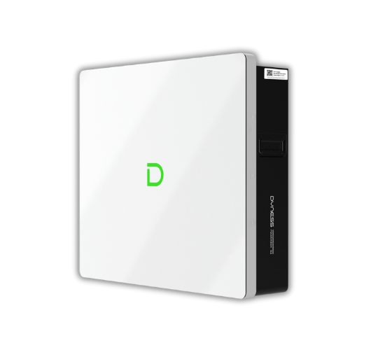 Dyness Power Box G2 Battery