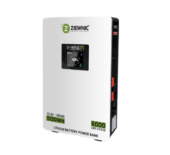 LI WALL 2.0 51.2V 100AH Lithium Battery