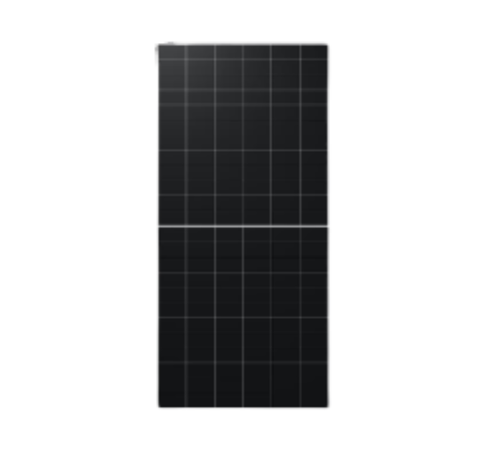Longi Himo x10 650W Bifacial Panel